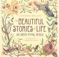 THE BEAUTIFUL STORIES OF LIFE