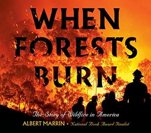 WHEN FORESTS BURN