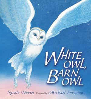 WHITE OWL, BARN OWL