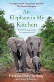 AN ELEPHANT IN MY KITCHEN