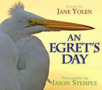 AN EGRET’S DAY