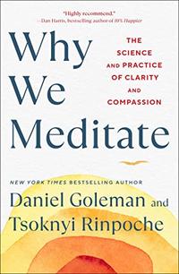 WHY WE MEDITATE